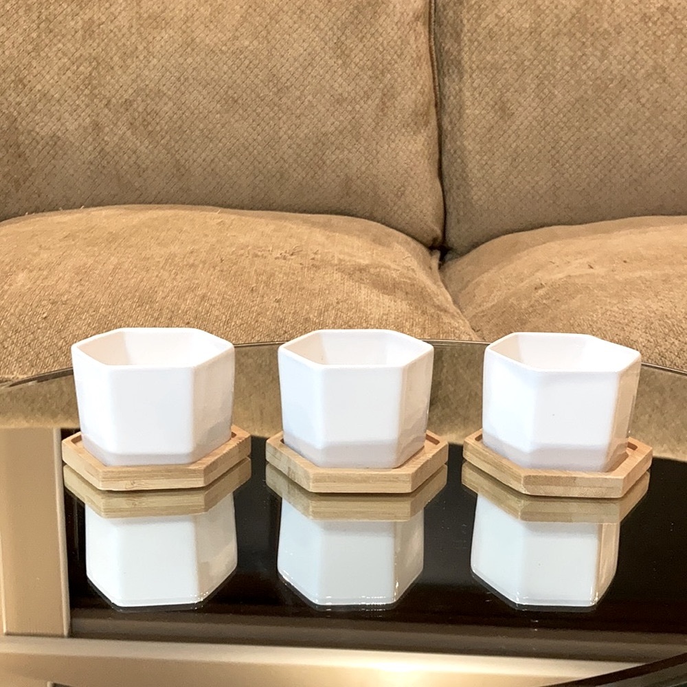 Planter pots for succulents with matching tray